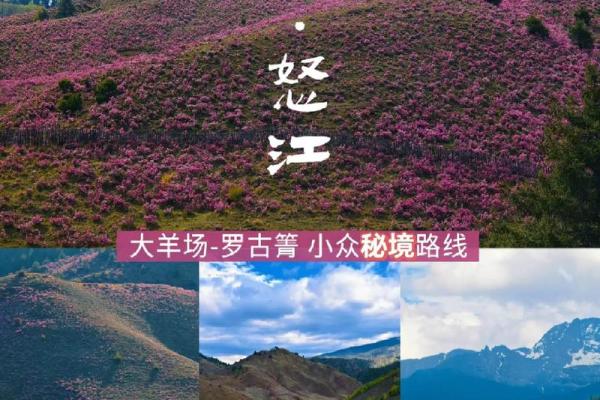云南秘境：风水宝地，揭秘留题之奥秘