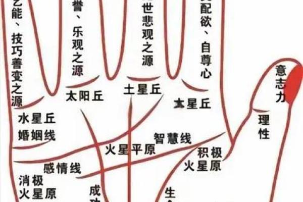 揭秘手相中隐藏的惊人秘密，快来微信群一探究竟
