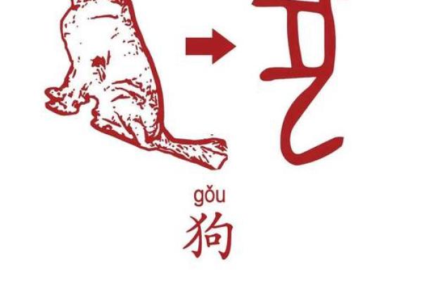 十二生肖甲骨奇缘：探寻千年前的神秘符号