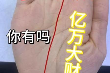 一掌观天机，手相揭秘财运通