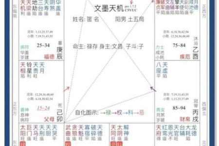 想知道未来运势？学会根据出生年月排紫微命盘
