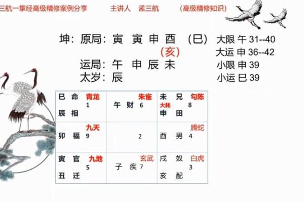 一掌定乾坤：揭秘手相学，掌握命运密码