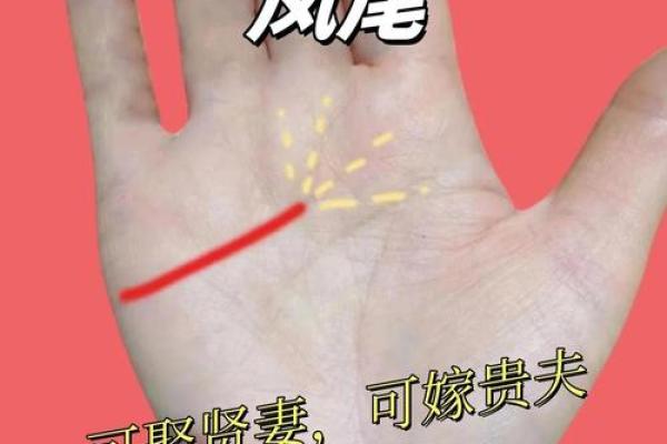 一掌定乾坤：揭秘手相学，掌握命运密码