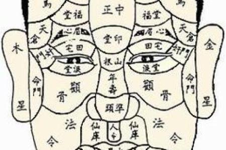 腮宽男相：揭秘男人魅力之源的秘密面相学