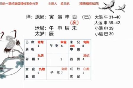 一掌定乾坤：揭秘手相学，掌握命运密码