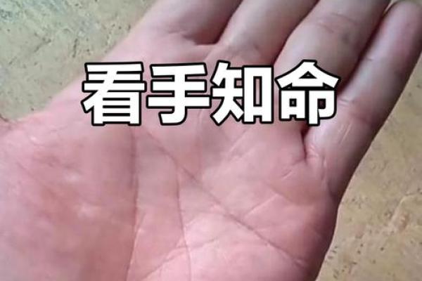 揭秘手相秘密：拇指蛇头形状，竟预示着你意想不到的命运转折
