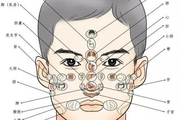 解码面相：揭秘招人喜爱的秘密法则