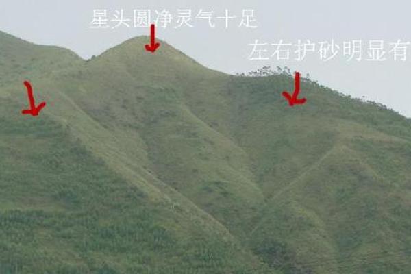 天干壬婚姻风水揭秘，如何找到理想伴侣