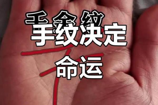掌握命运手相大师揭秘，揭秘你的手相达100分，你的命运将发生翻天覆地的变化
