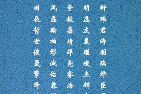 生僻字起名的艺术：如何选对字，增添气质