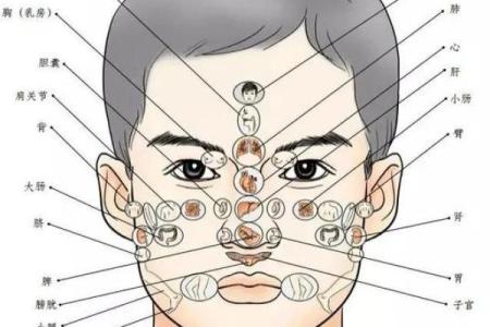 解码面相：揭秘招人喜爱的秘密法则