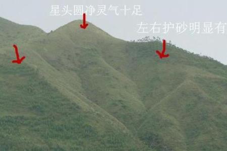 天干壬婚姻风水揭秘，如何找到理想伴侣