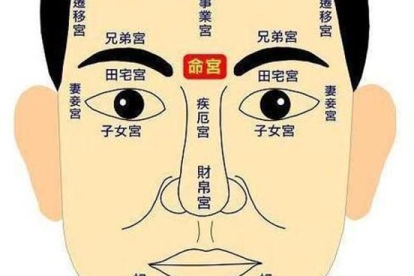 神秘横财痣：揭秘如何从面相中找到你的横财命？