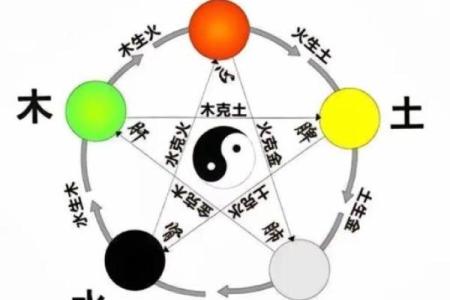 五行面相揭秘：揭秘面相中的五行奥秘，一眼看穿命运走向