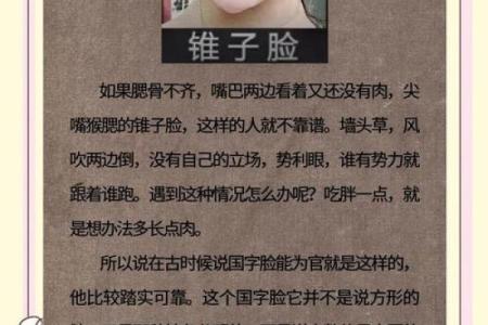 大额头女生：揭秘面相中的智慧与魅力