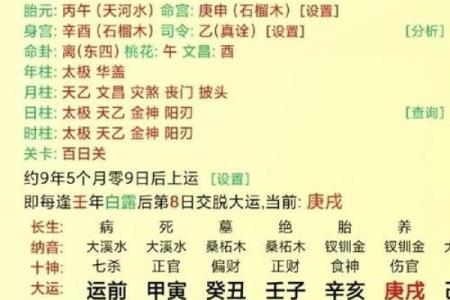 深度解读丙火在十天干中的喜忌与命理影响