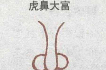俞小凡面相揭秘：如何从面相看运势与性格