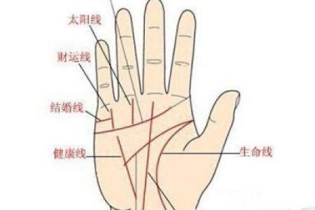 手相健康线揭秘：一招看穿命运起伏，必看爆款算命图解