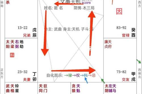 紫薇排盘百度云解析：如何利用紫薇命盘破解人生密码