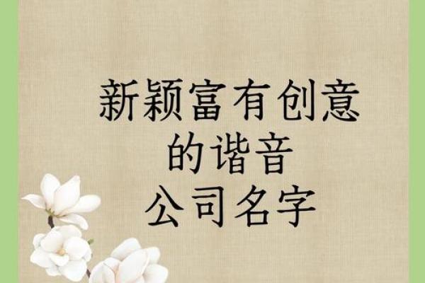 含水的公司名，激发无限商机