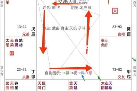 紫薇排盘百度云解析：如何利用紫薇命盘破解人生密码
