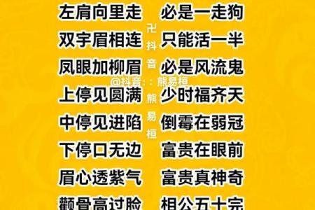 麻衣神相相术耳垂痣：揭秘影响你一生的神秘符号