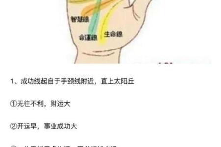 揭秘手相奥秘：好面相好手相，运势亨通人生赢家必备