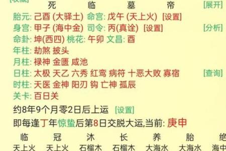 双婚命揭秘：你的爱情命运，究竟藏了多少秘密？