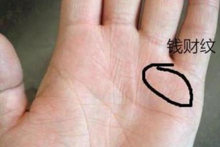 手掌硬如铁，财运亨通，揭秘女人手相的神秘力量