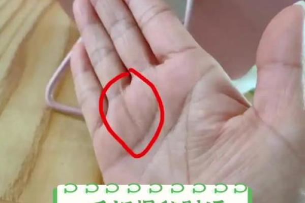 揭秘会爆富的秘密：看手相就能一眼锁定富豪命