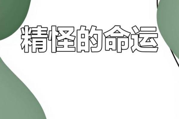 林宁面相揭秘：洞察命运的秘密之门