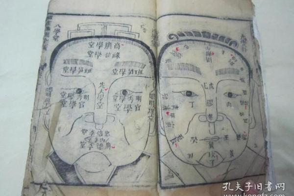 透过眼镜洞悉面相奥秘：揭秘你的命运密码