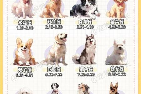 2018年属狗配对宝典，速来查收