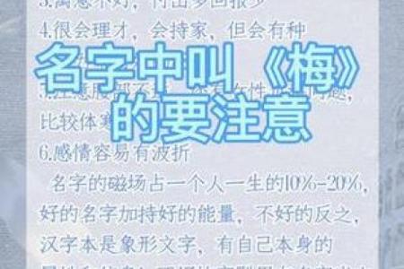 东方文化中的起名智慧，你知道多少？