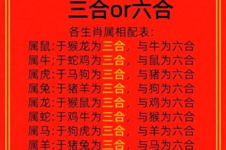 十二生肖北肖：揭秘生肖背后的神秘力量