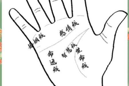 揭秘手相星线，掌握运势密码，你的命运从此改写