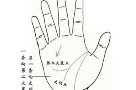 手相揭秘：天乙贵人纹预示着哪些贵人运？