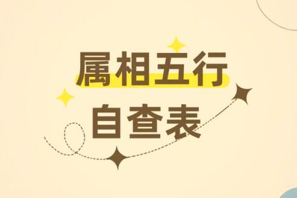 出生的人五行是什么？揭秘属相背后的秘密