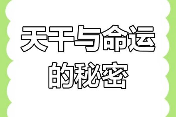 赛神仙命理天机揭秘：如何破解人生命运的奥秘