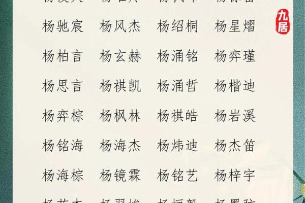 如何为杨姓宝宝起个既传统又时尚的名字