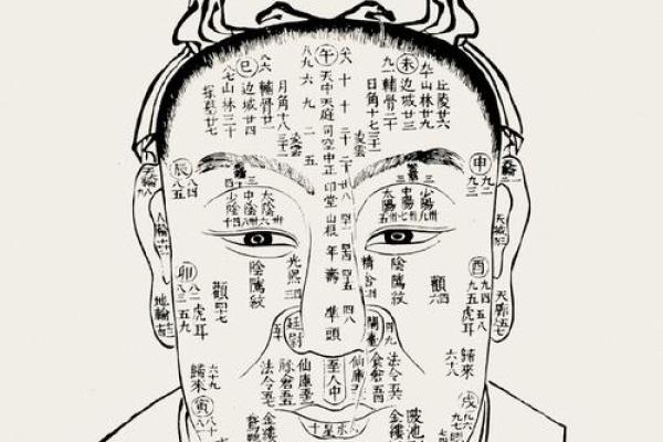 探索天干正官与天干正财：财运与官运双管齐下的秘密