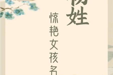 如何为杨姓宝宝起个既传统又时尚的名字
