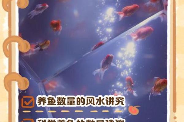 风水秘籍：金鱼养殖数量揭秘，助力家中风水大变样