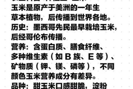 你了解玉米的五行属性吗？背后隐藏着什么秘密
