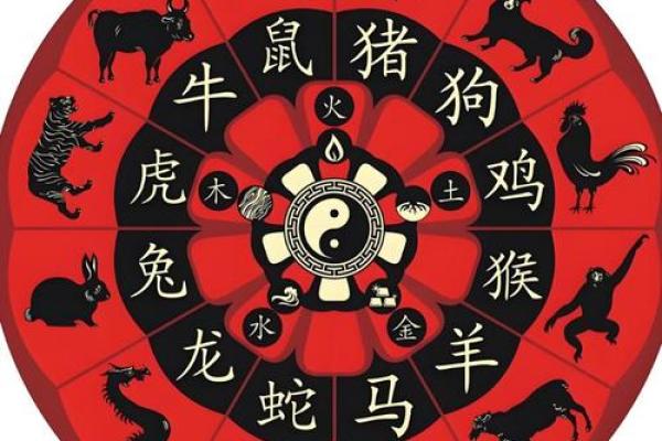 揭秘一生肖：命运轨迹，生肖背后的秘密