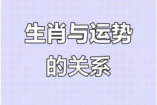揭秘一生肖：命运轨迹，生肖背后的秘密