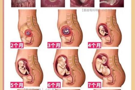 揭秘：从面相看生育能力，准妈妈必看