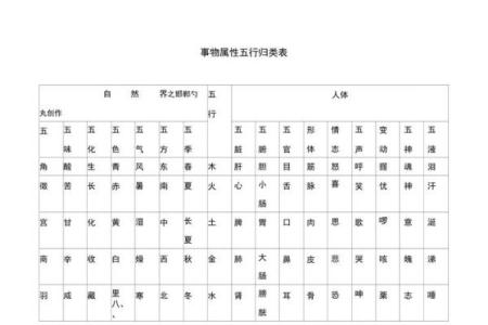 全字五行属性解析