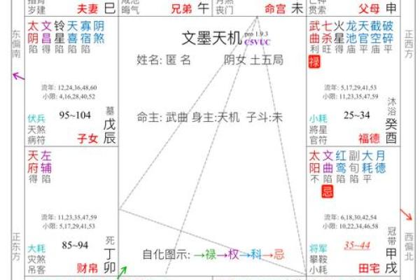 紫微排盘揭秘：如何通过命盘了解自己的未来运势