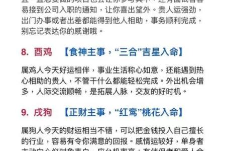 卯年五行解析：这年你的命运走向如何